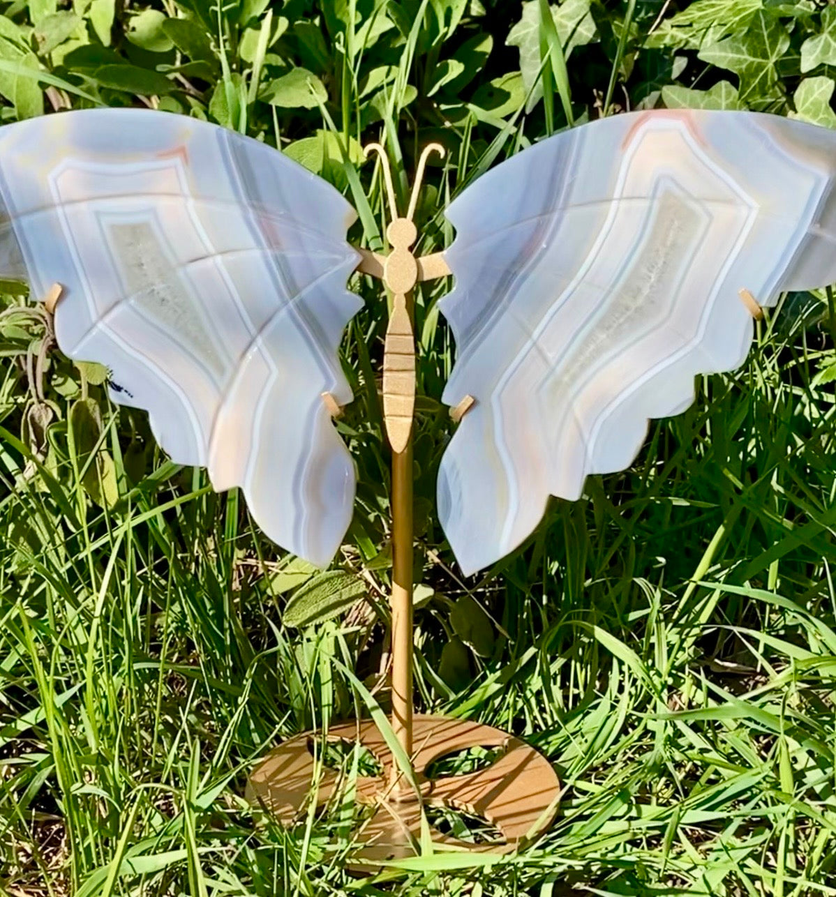 Papillon 🦋 Agate