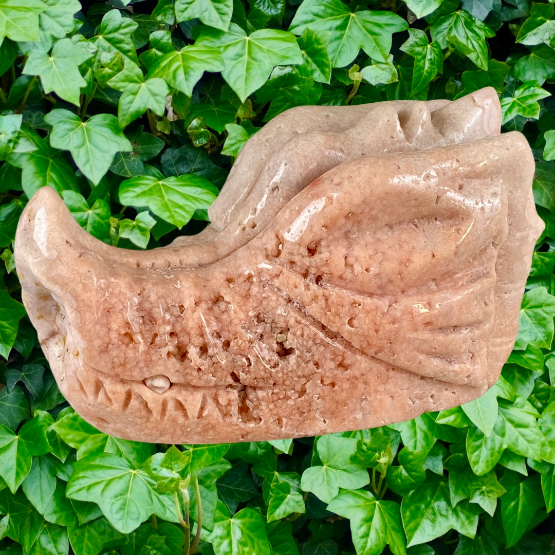 Tête Dragon 🐉 améthyste rose