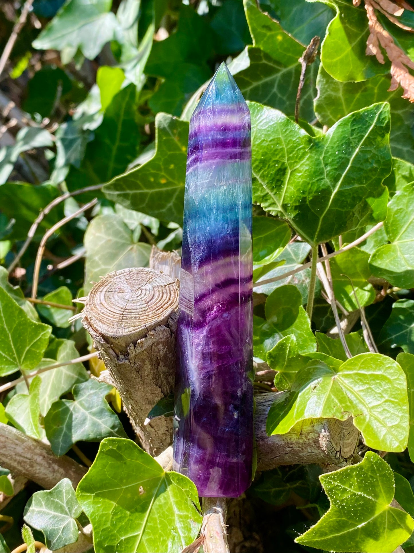Pointe Fluorite 💜