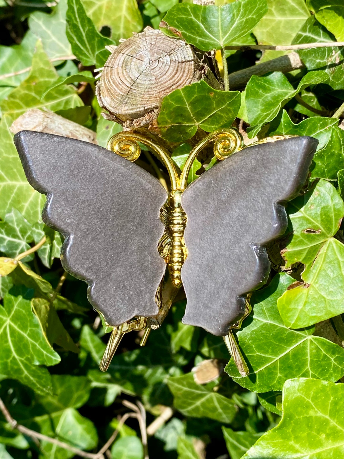 Papillon 🦋 obsidienne argentée