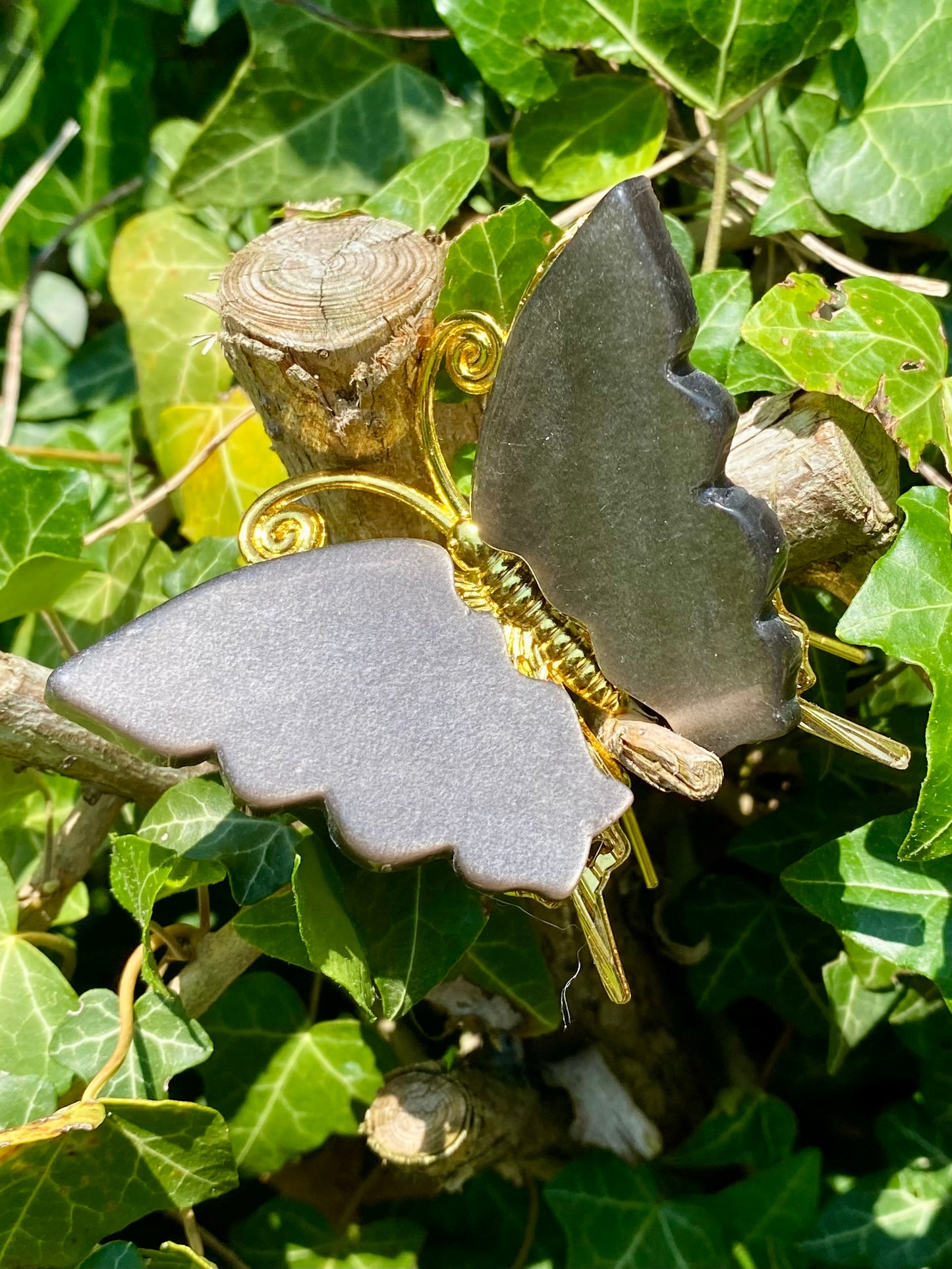 Papillon 🦋 obsidienne argentée