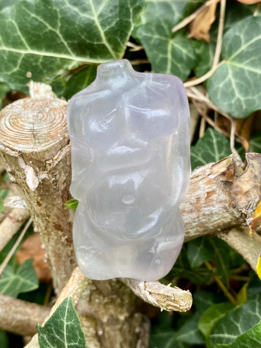 Buste futur maman 🤰🏻