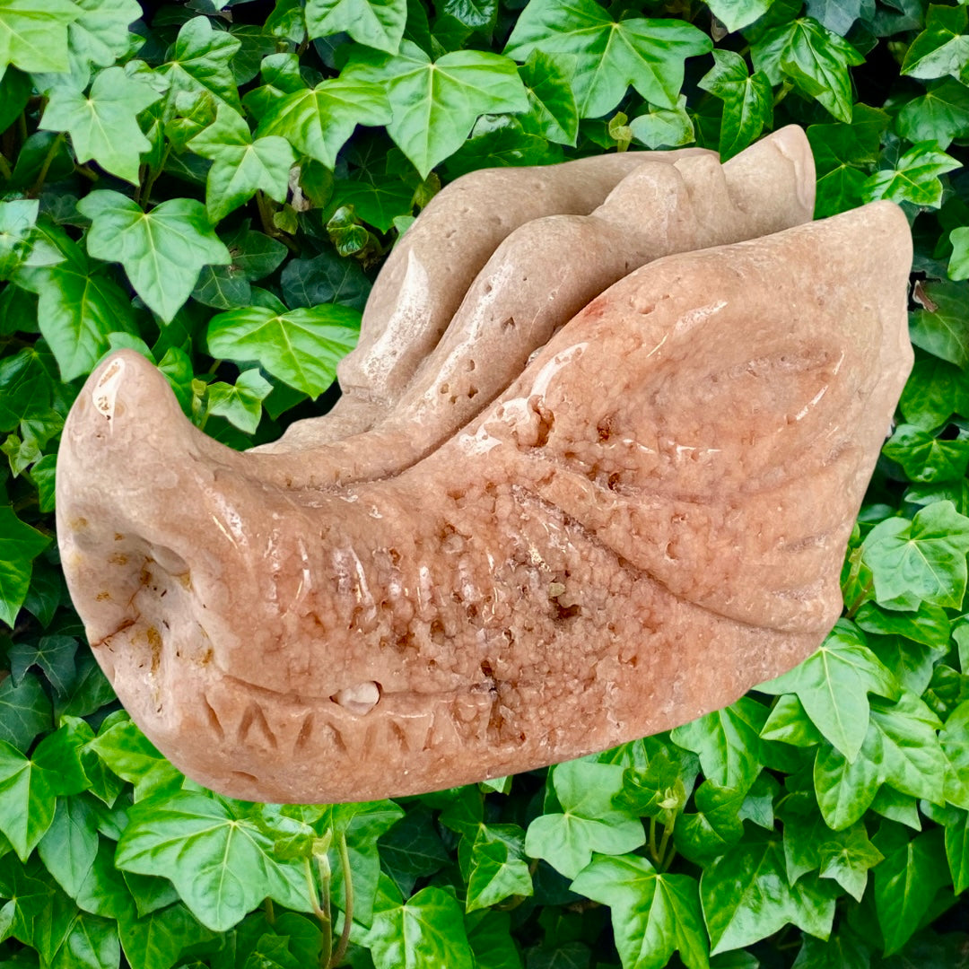 Tête Dragon 🐉 améthyste rose