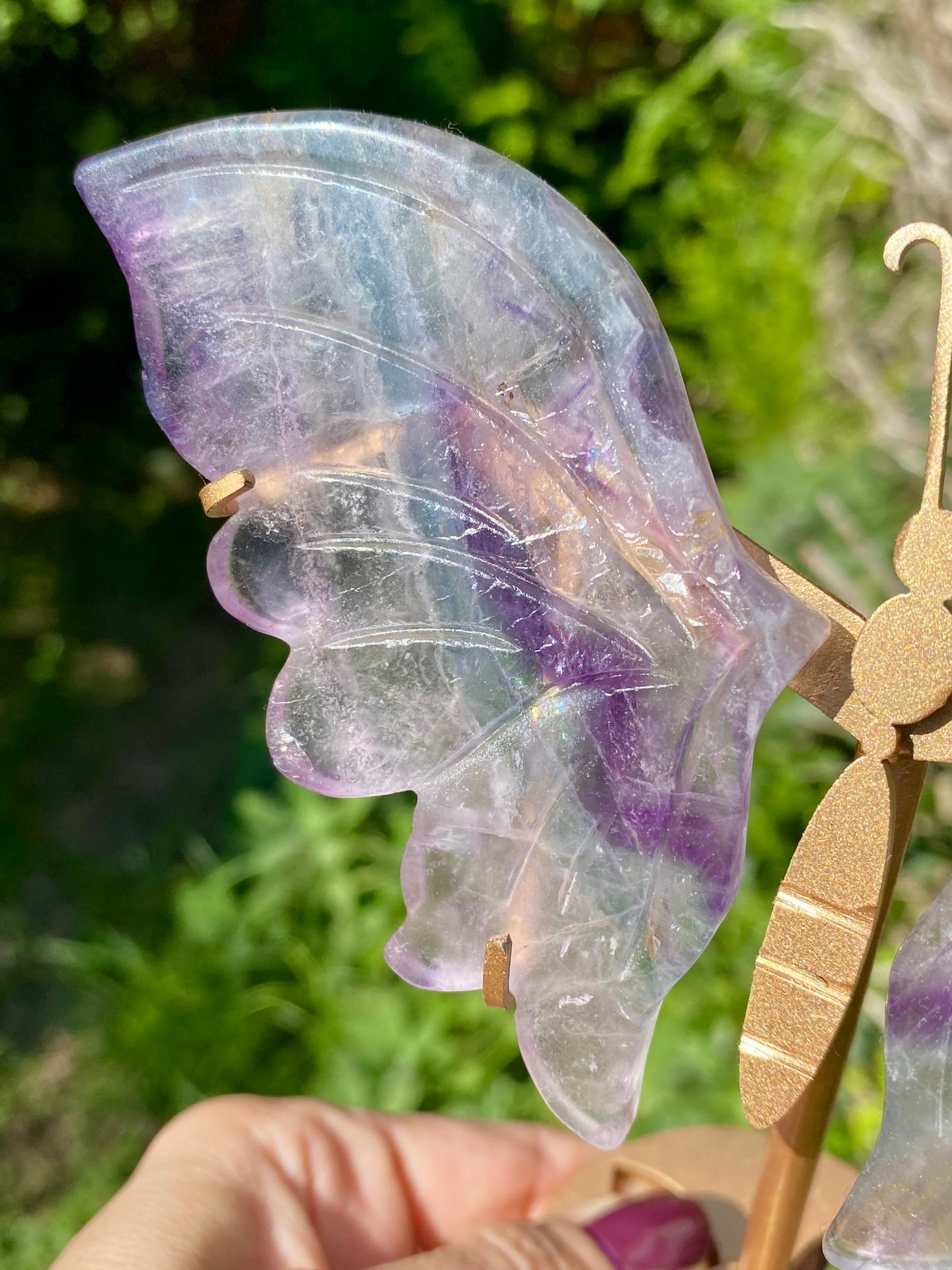 Papillon 🦋 Fluorite