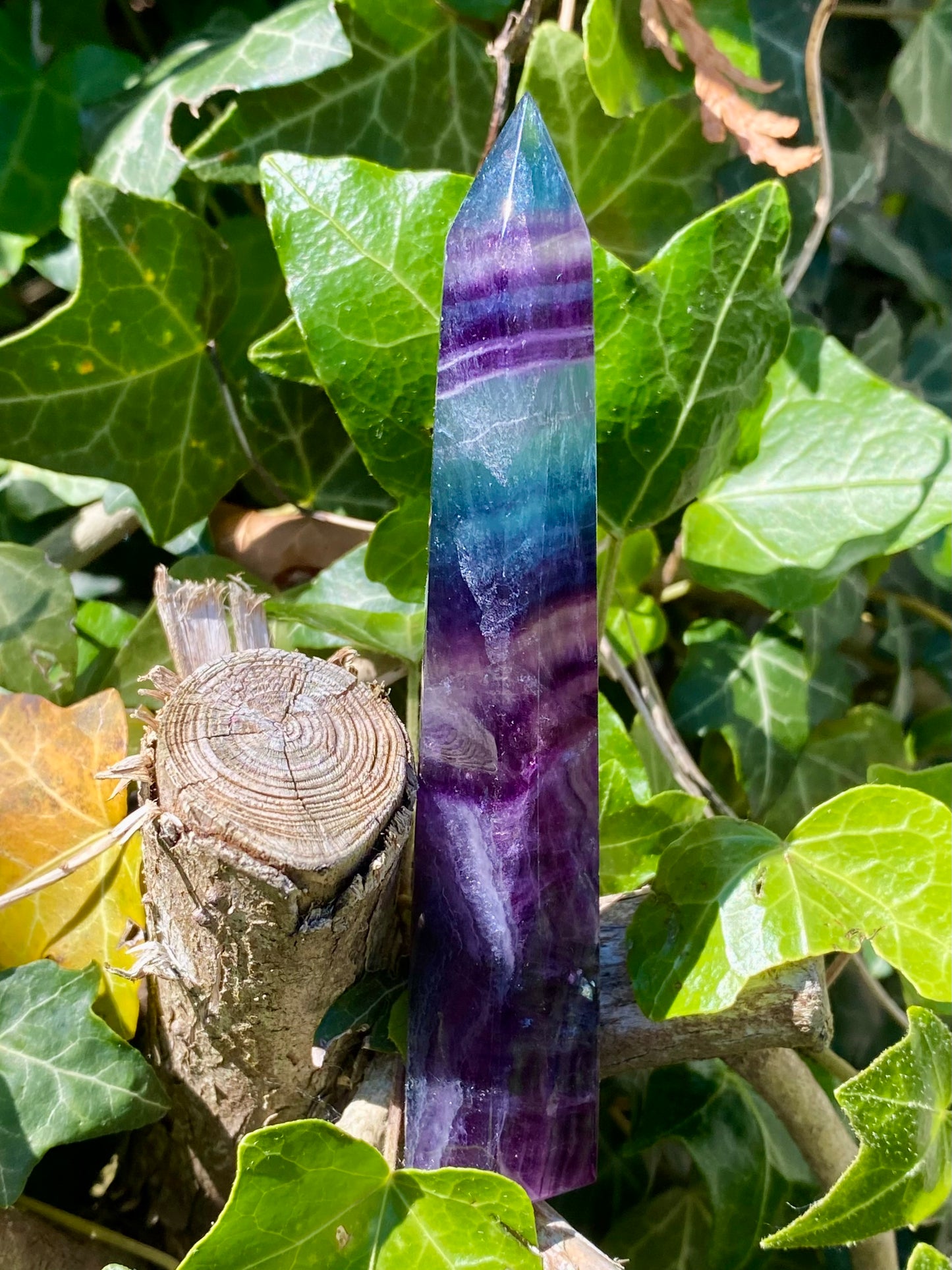 Pointe Fluorite 💜