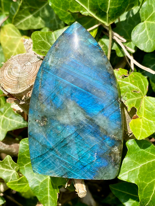 Flamme Labradorite 🧿