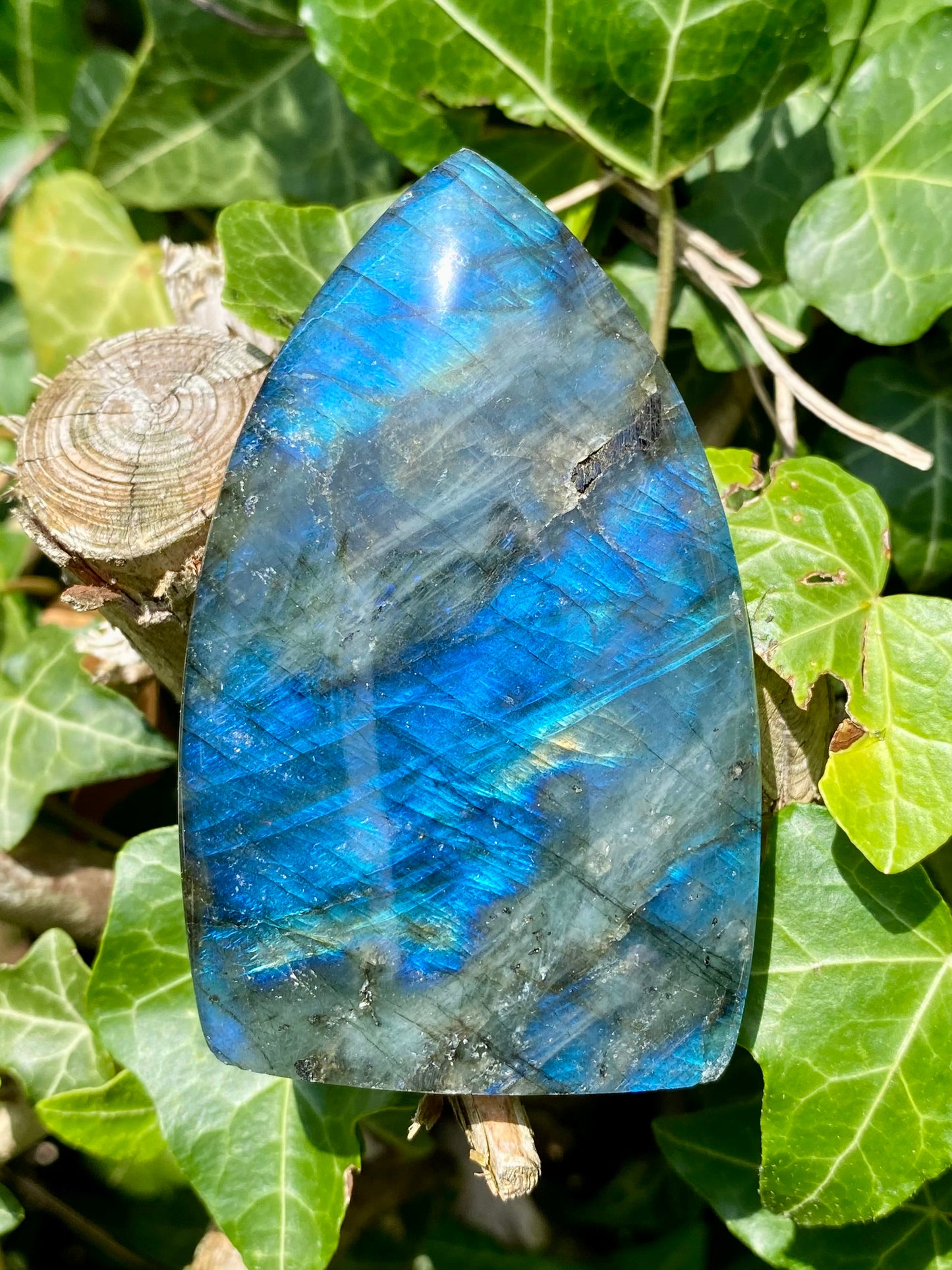 Flamme Labradorite 🧿
