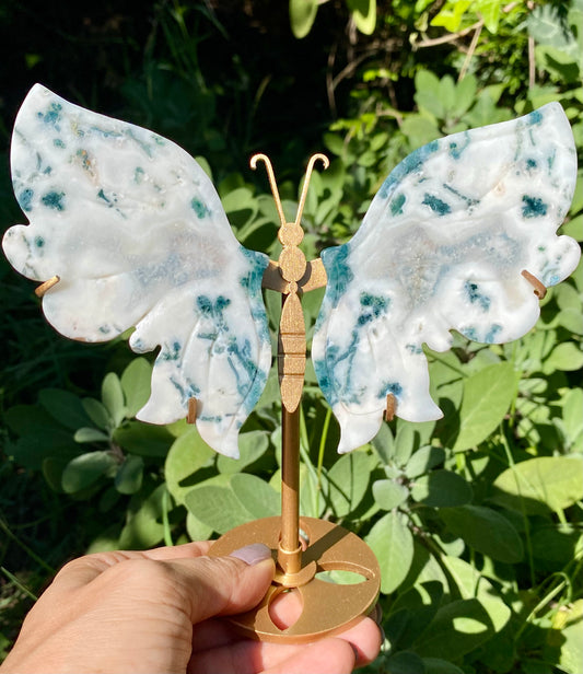 Papillon 🦋 Agate arbre