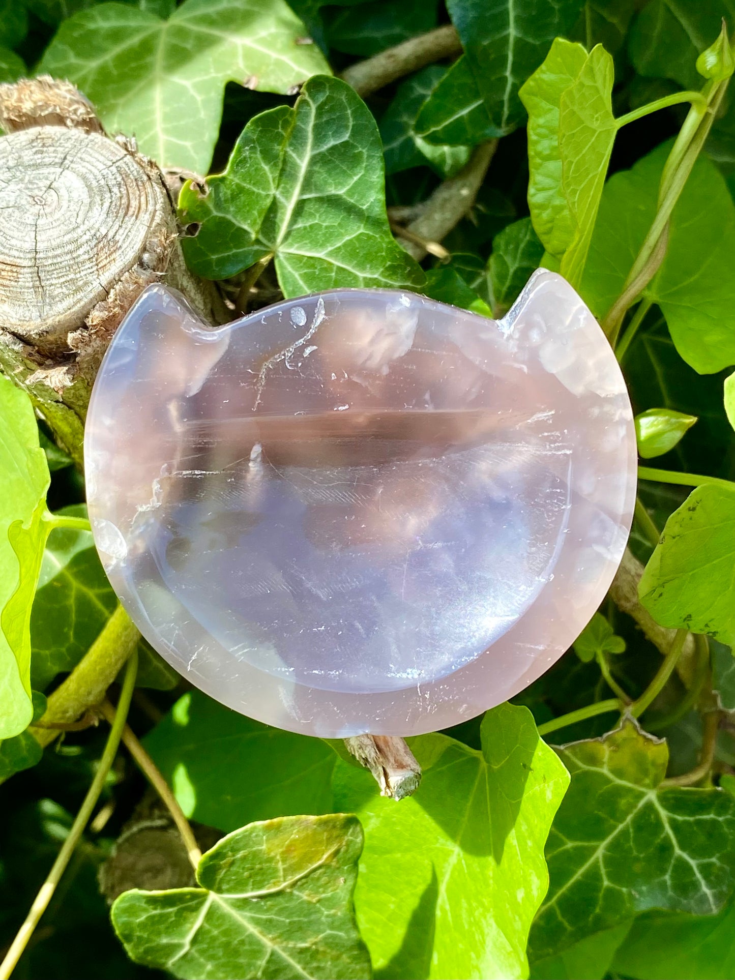 Chat 🖤 agate fleurs noires