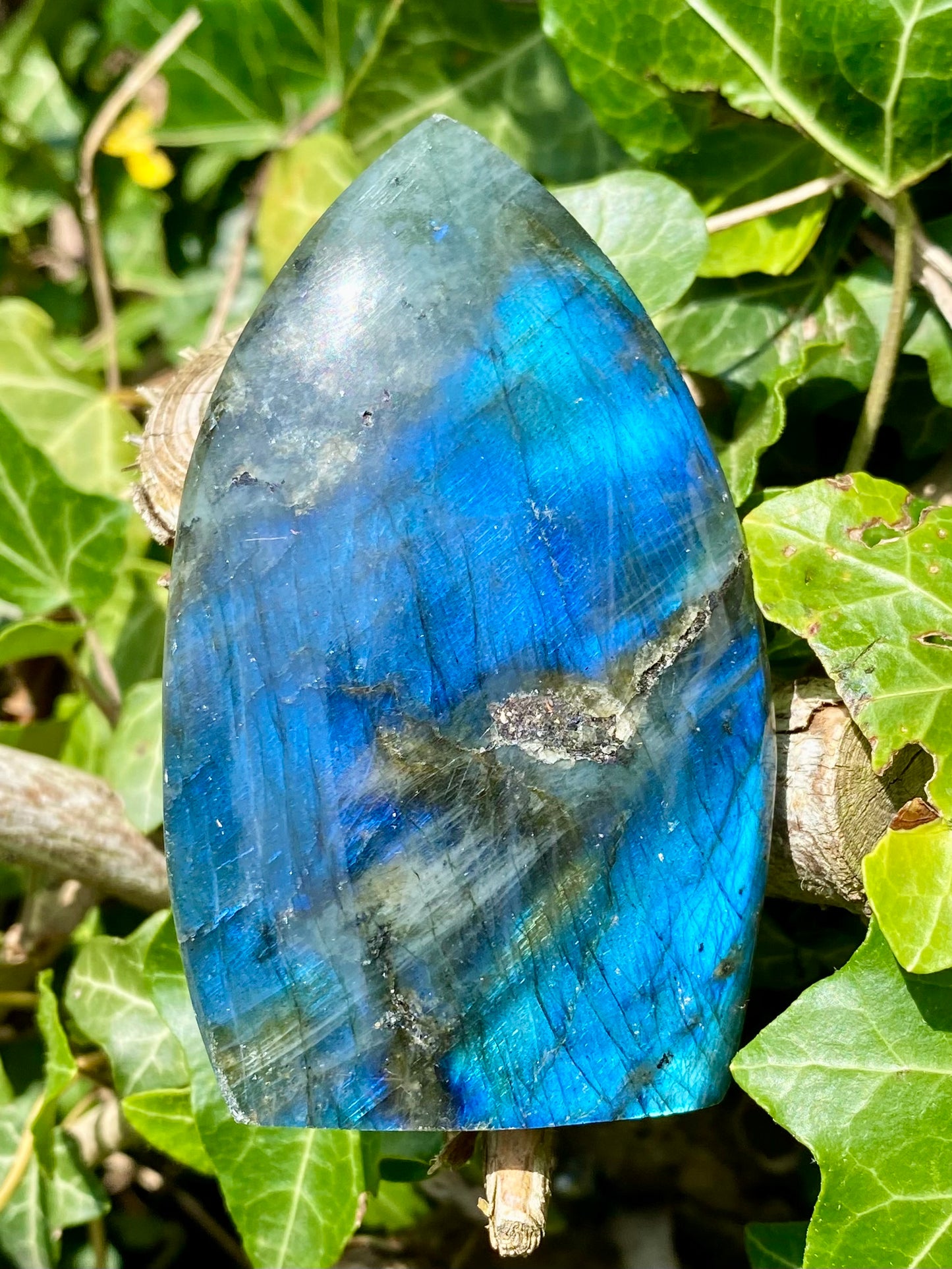 Flamme Labradorite 🧿