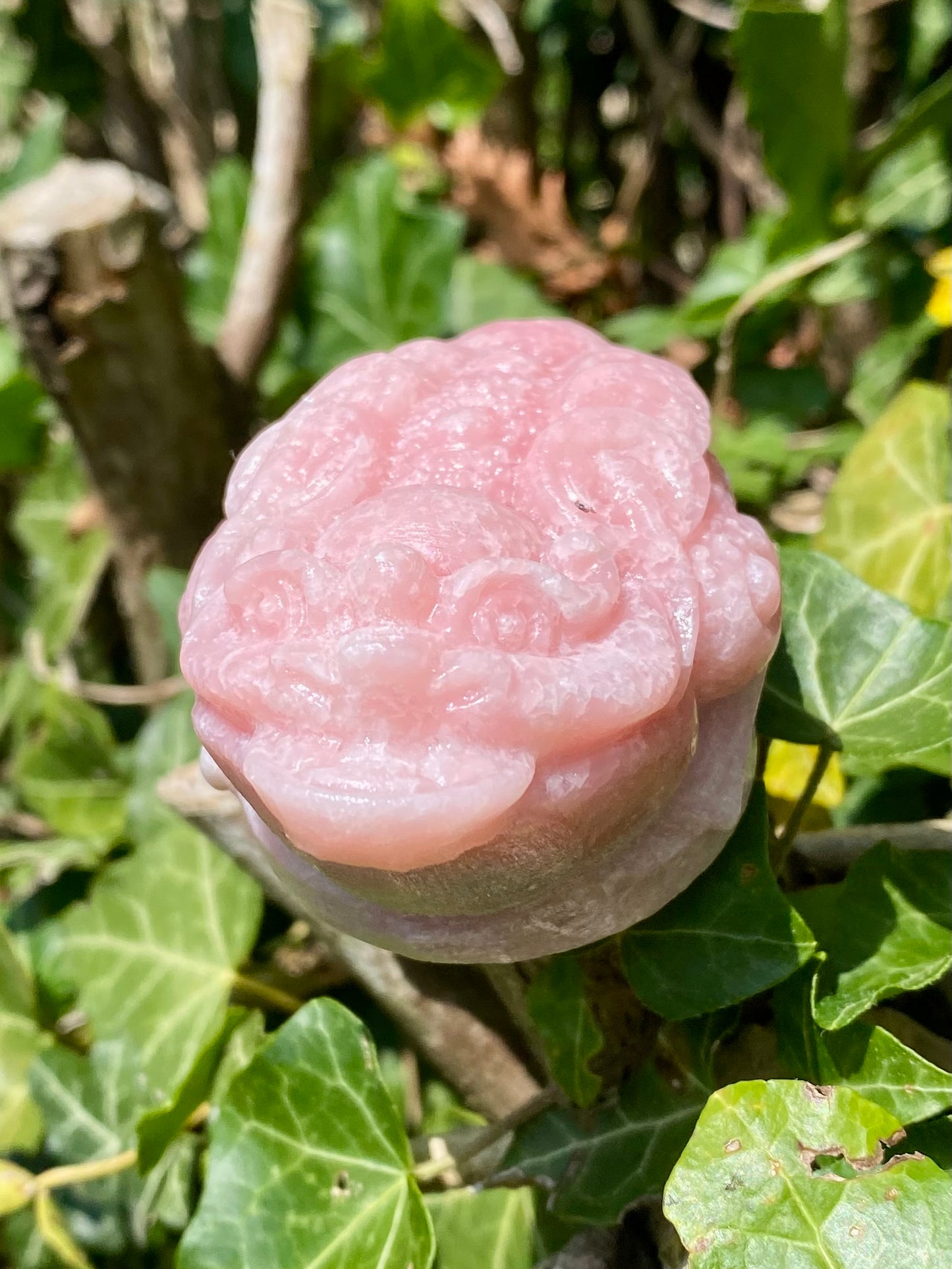 Dragon 🐉 opale rose