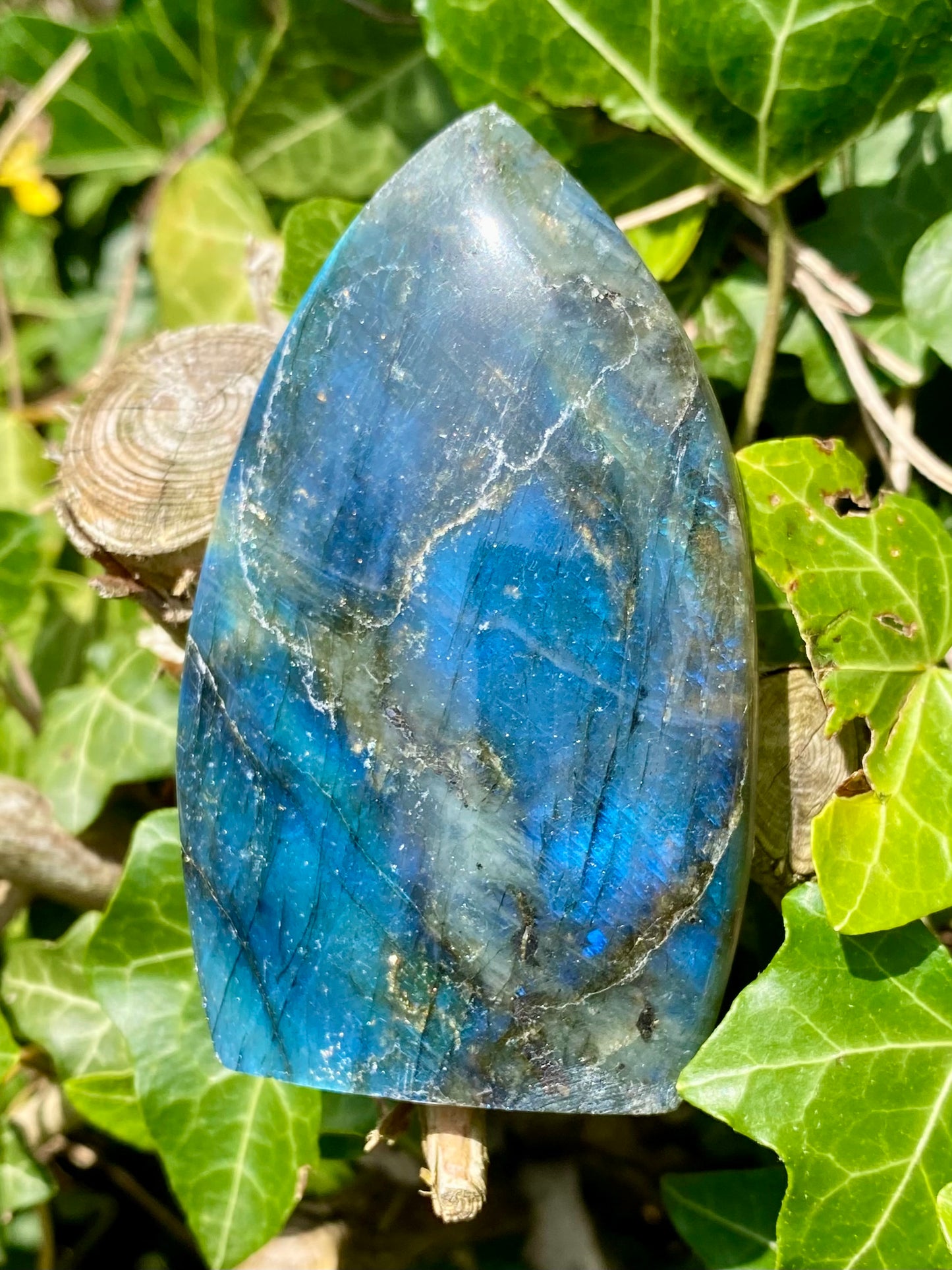 Flamme Labradorite 🧿