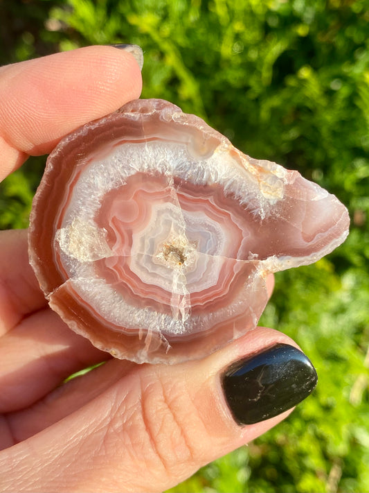 Agate Laguna ✨