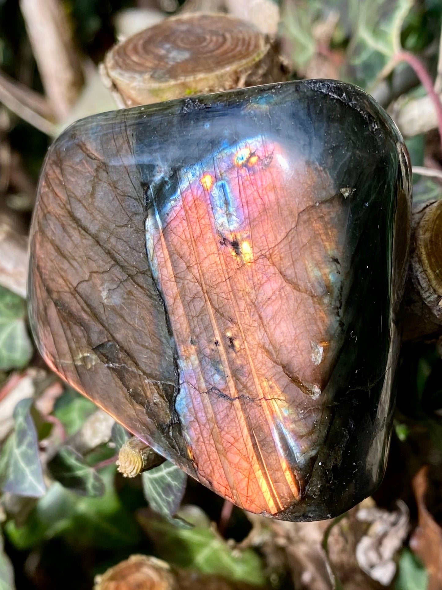 Forme libre Labradorite ❤️‍🔥