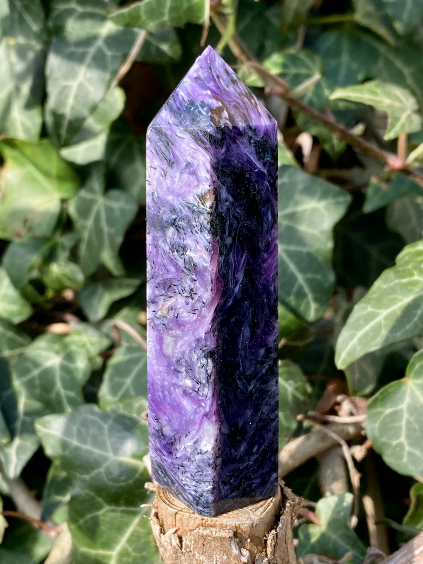 Pointe de Charoïte 💜