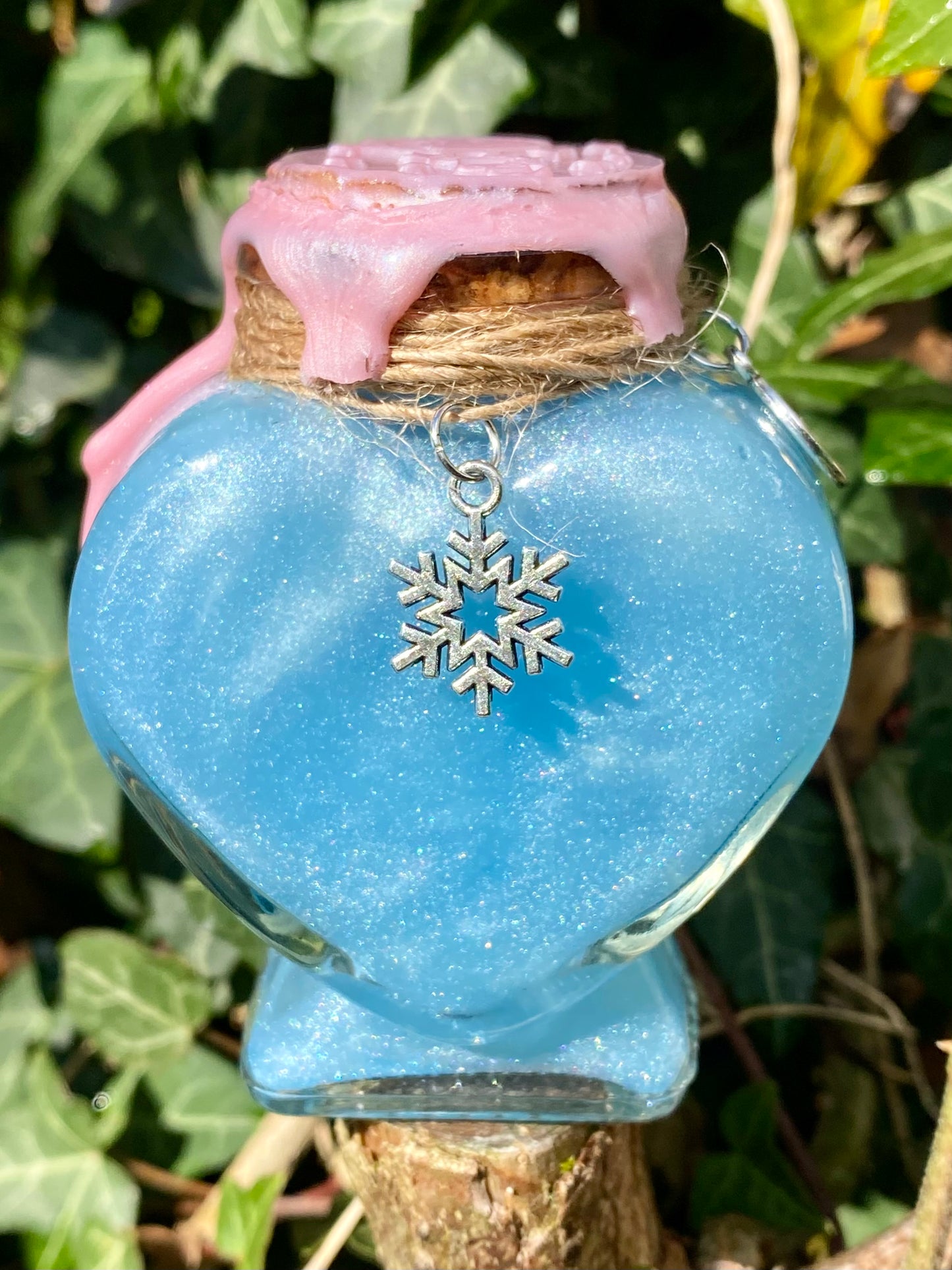 Potion ❄️ Hiver Enchanté