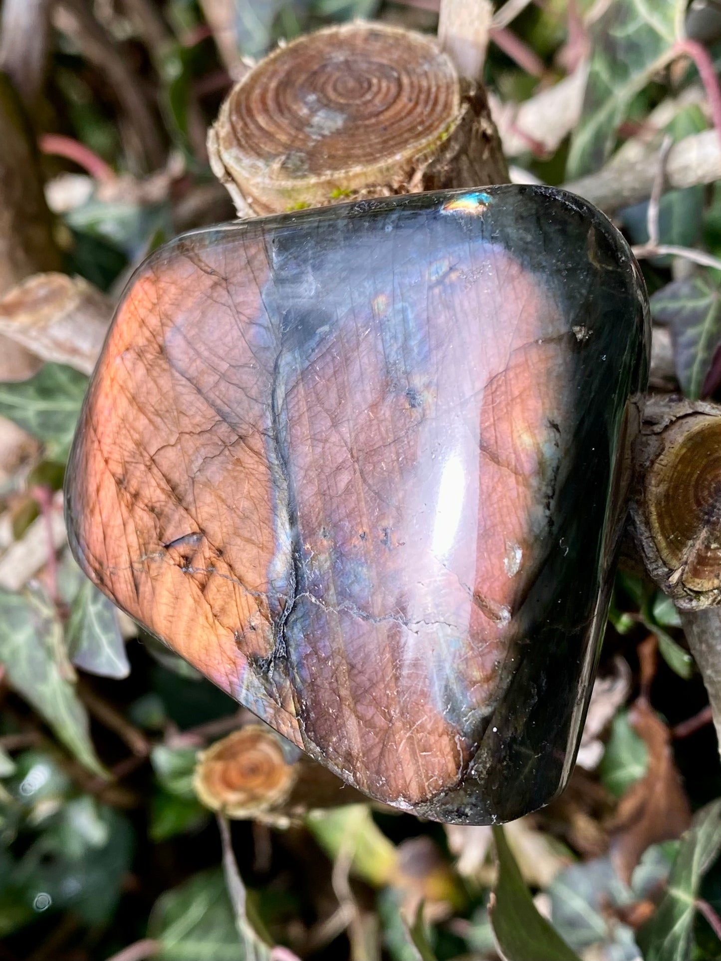 Forme libre Labradorite ❤️‍🔥