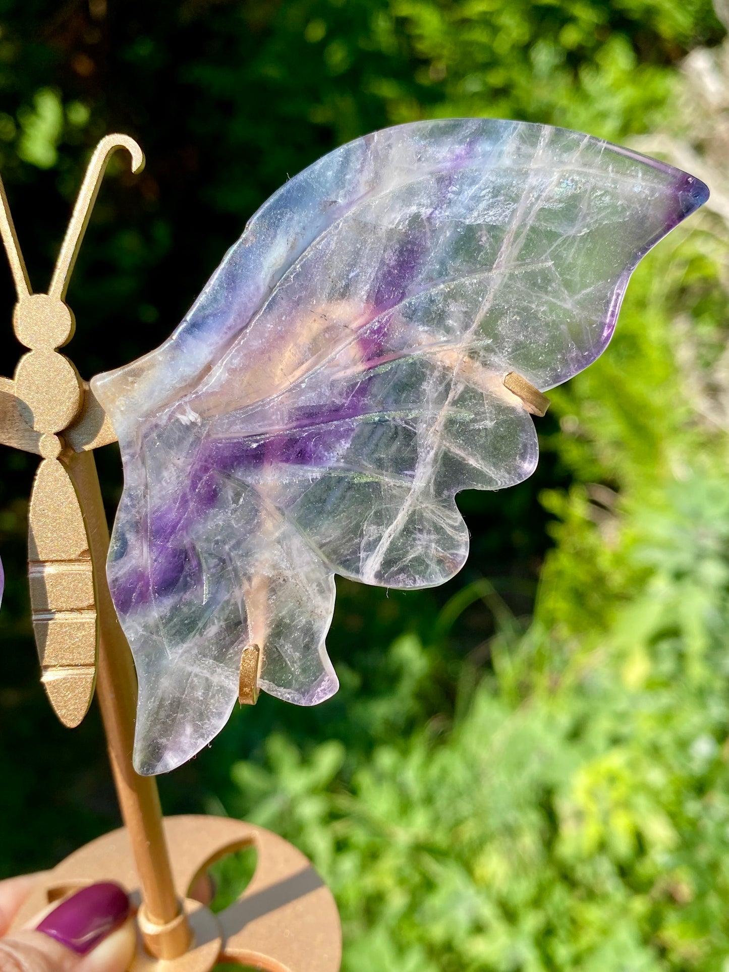 Papillon 🦋 Fluorite