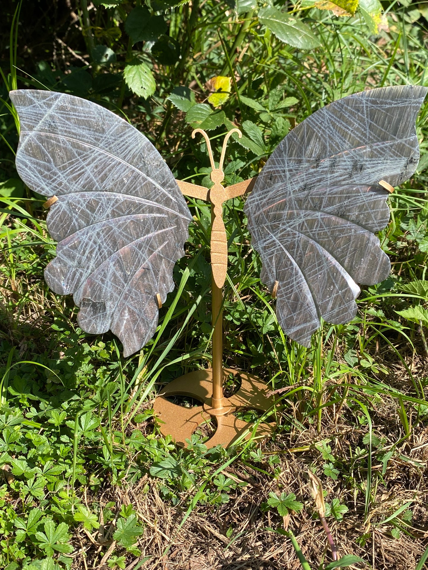 Ailes papillon 🦋 Labradorite 💜