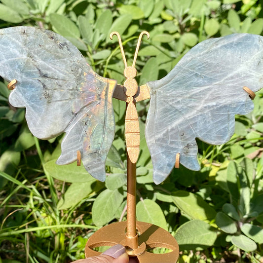 Papillon 🦋 Labradorite