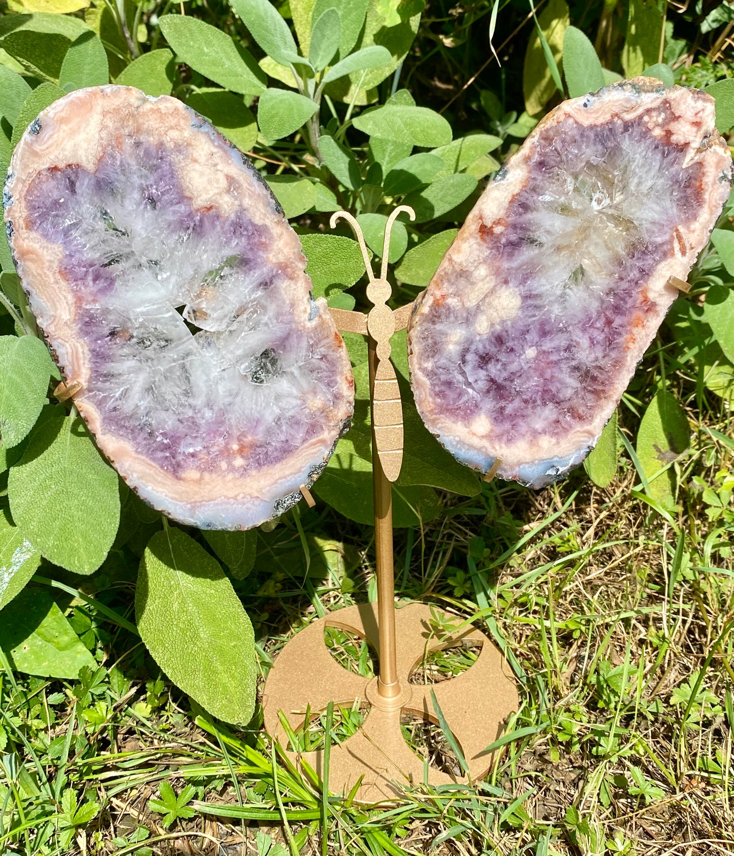 Ailes papillon agate fleurs améthyste