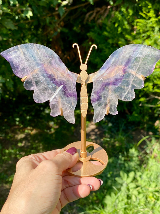 Papillon 🦋 Fluorite