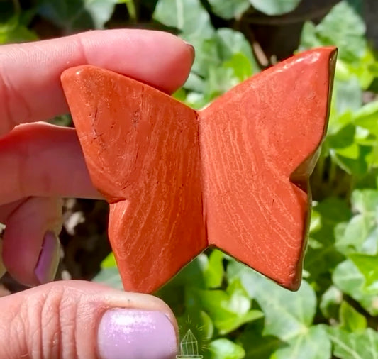 Papillon 🦋 Jaspe rouge