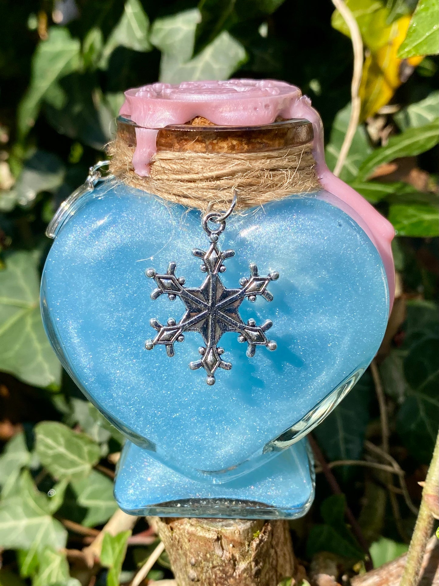 Potion ❄️ Hiver Enchanté