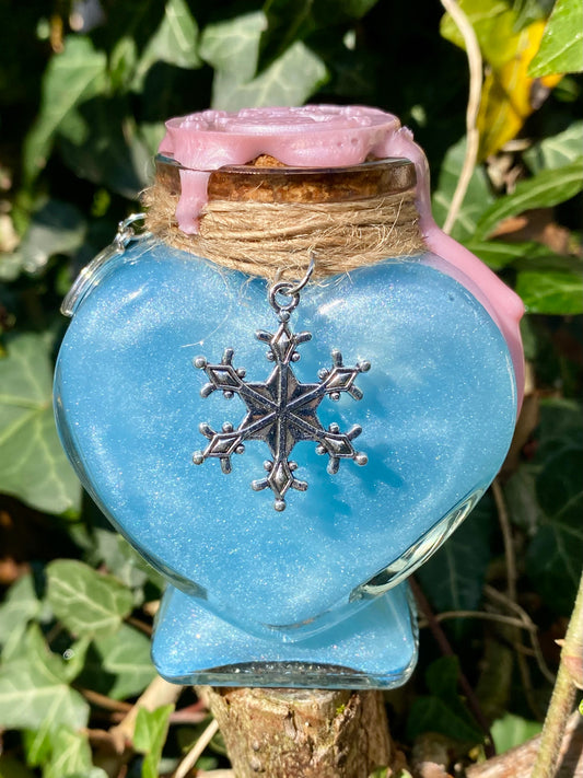 Potion ❄️ Hiver Enchanté