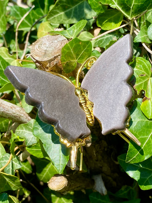 Papillon 🦋 obsidienne argentée