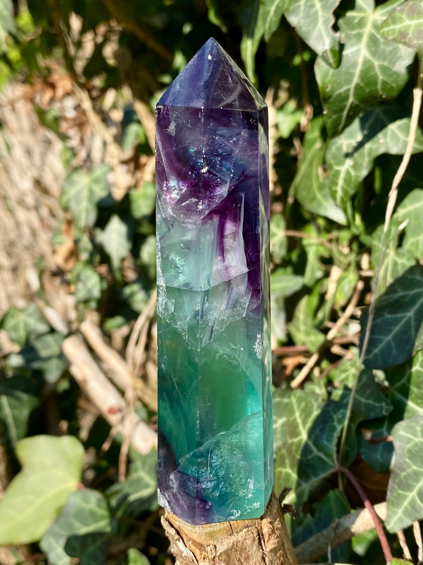 Pointe Fluorite 🌈
