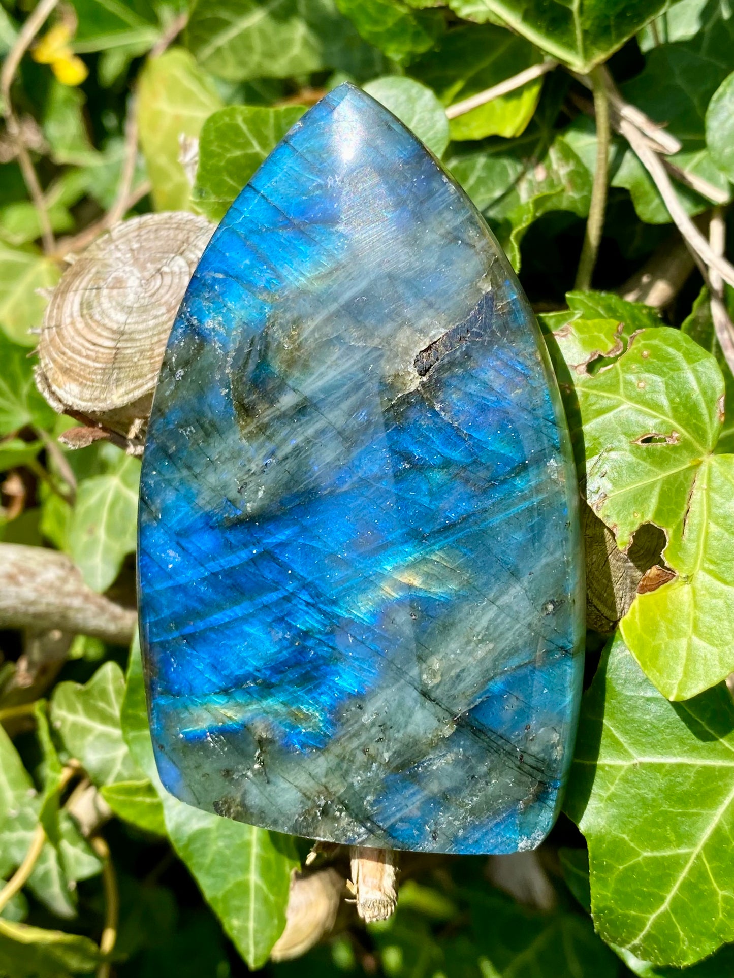 Flamme Labradorite 🧿