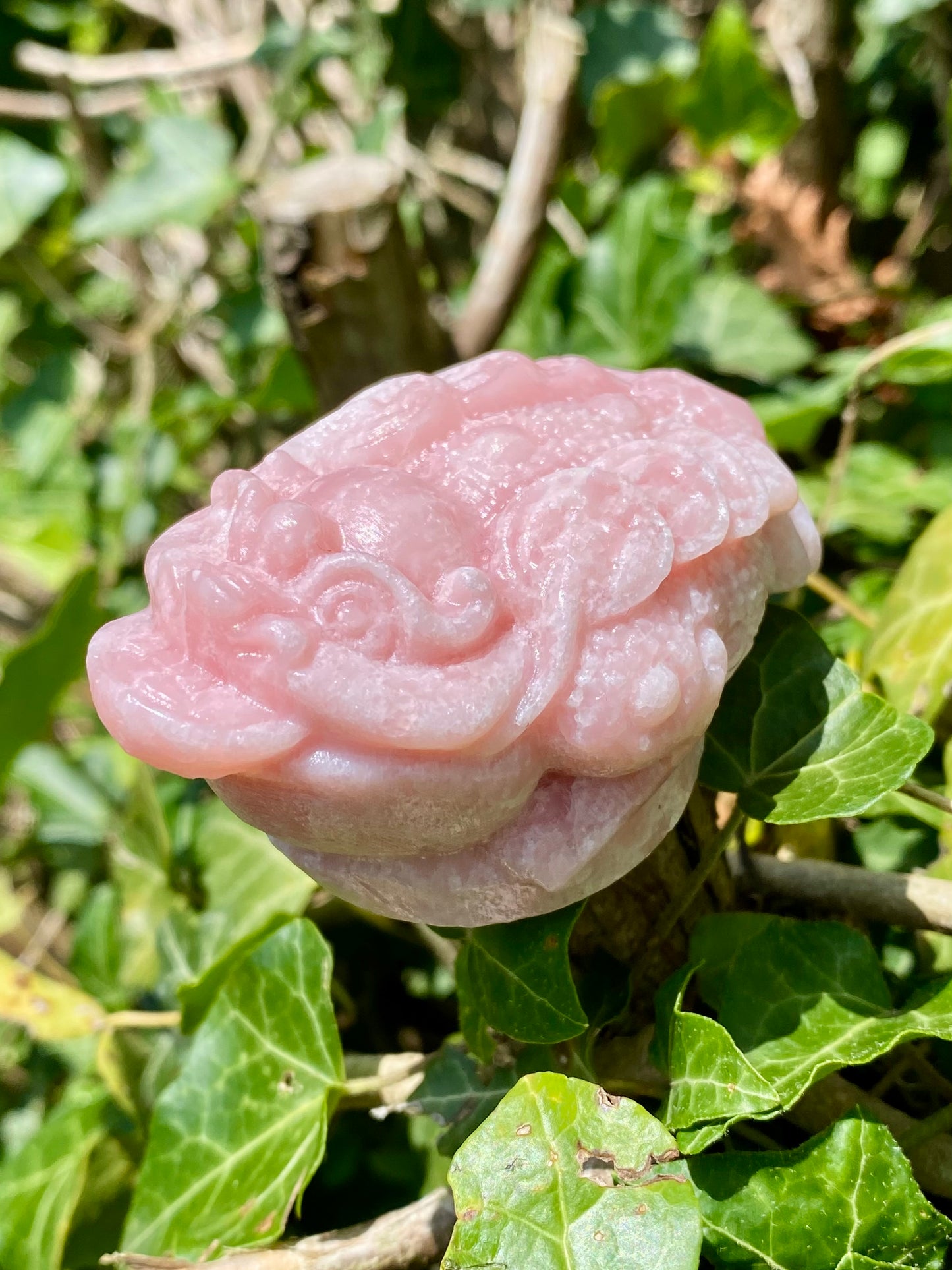Dragon 🐉 opale rose