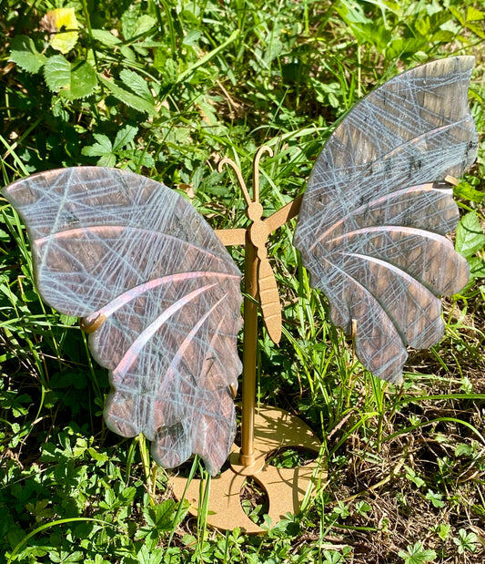 Ailes papillon 🦋 Labradorite 💜