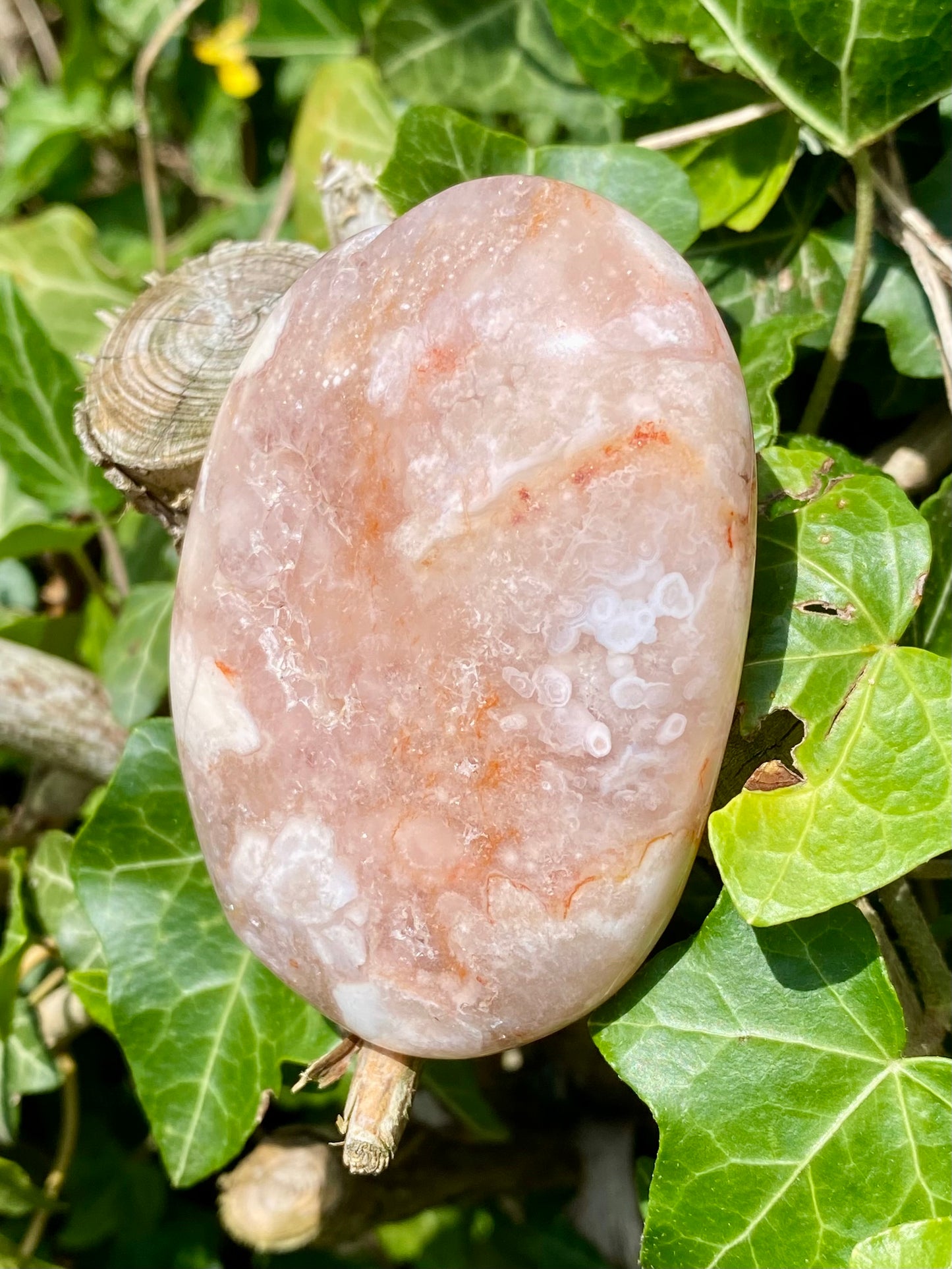 Galet agate fleurs 🌸 Cornaline