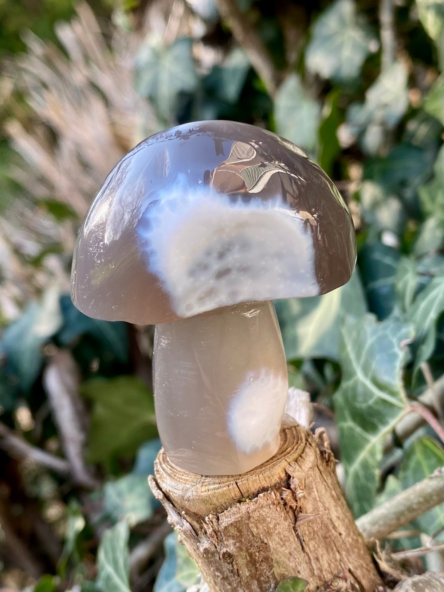 Champignon 🍄‍🟫 Agate Orc