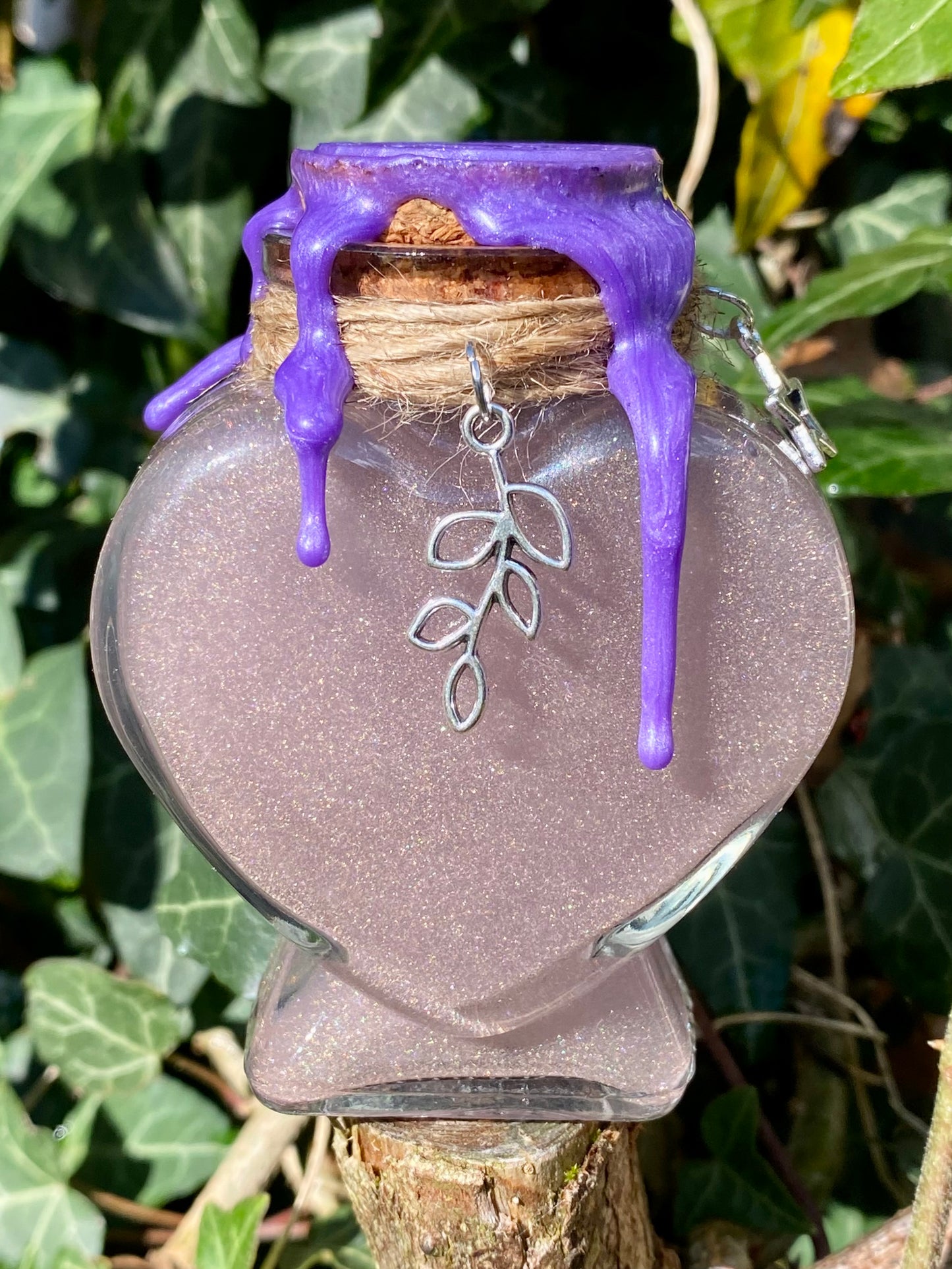 Potion 🦋 Papillon Lunaire 🌙