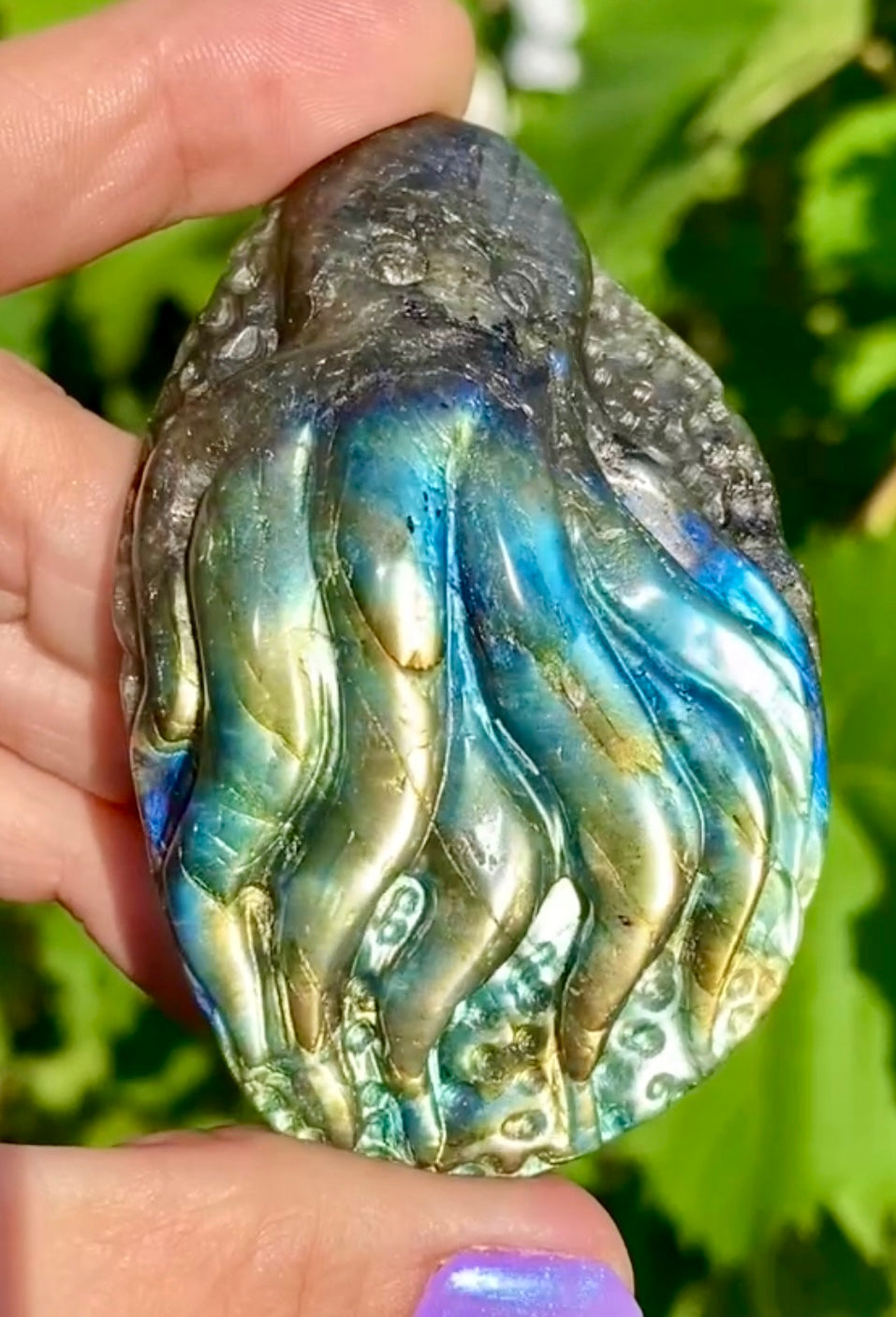 Pieuvre 🐙 labradorite