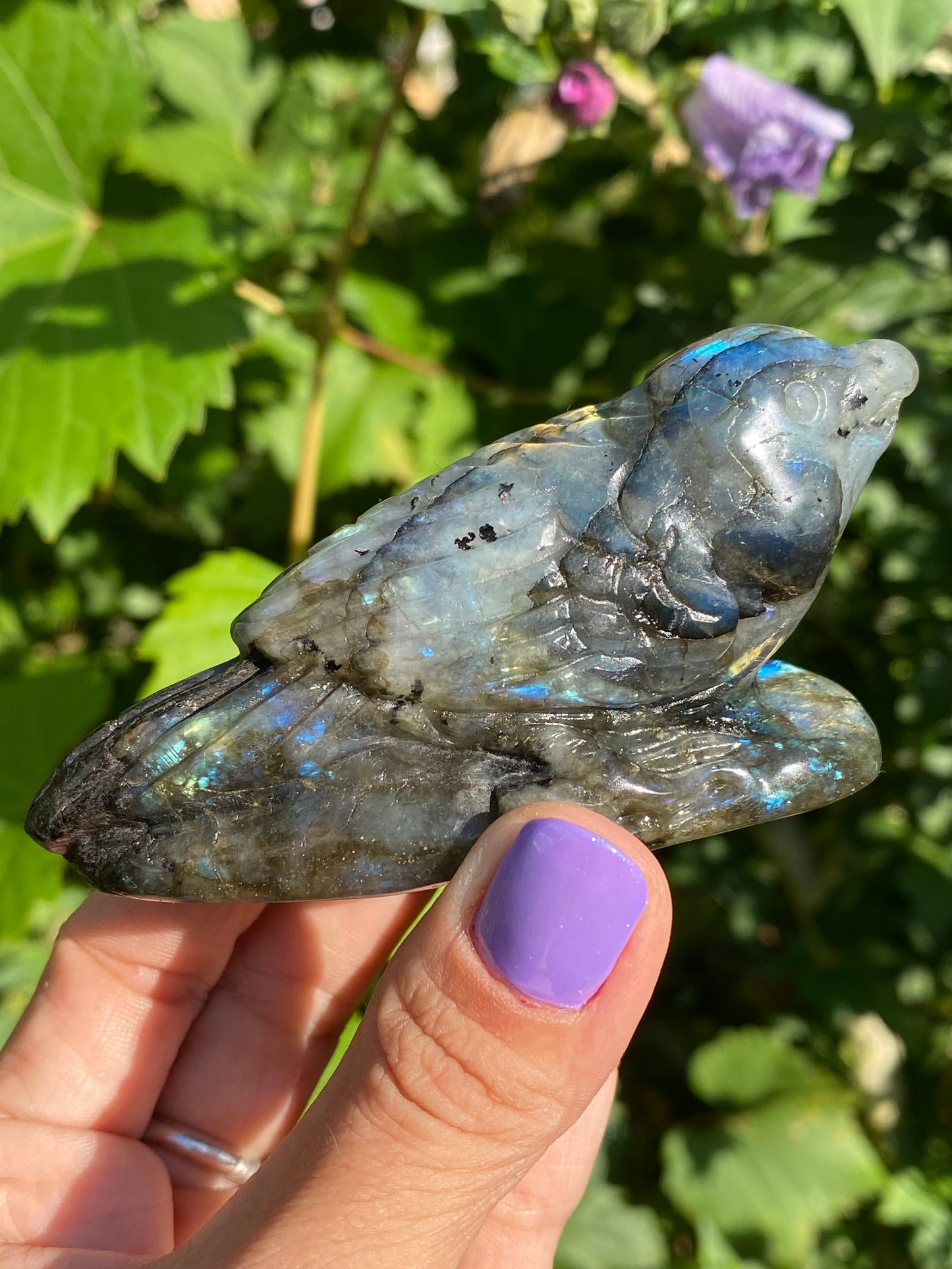 Oiseau 🐦 labradorite 💙