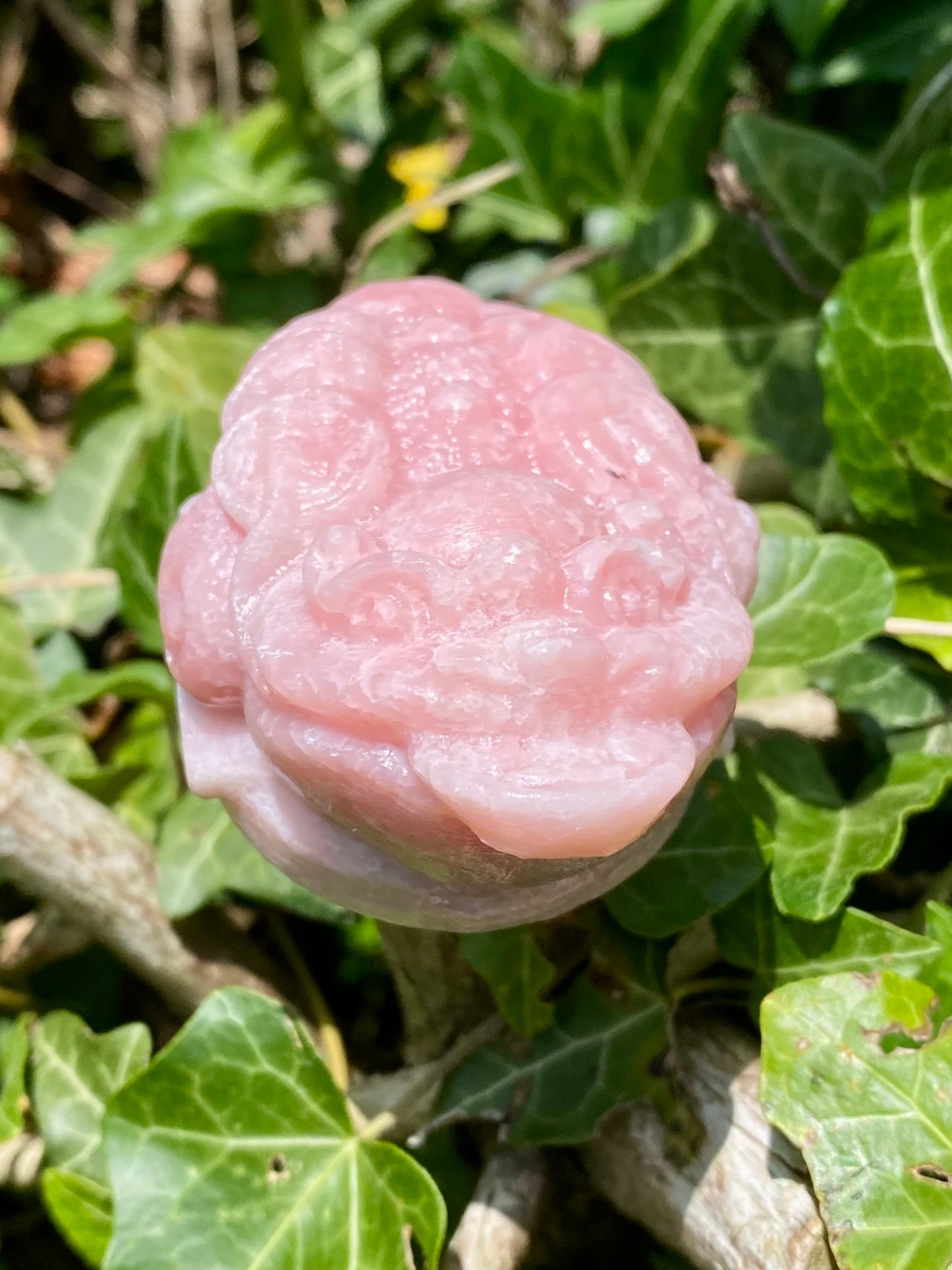 Dragon 🐉 opale rose