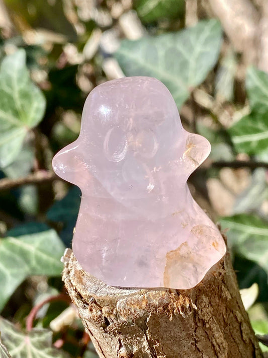 Fantôme 👻 Quartz rose