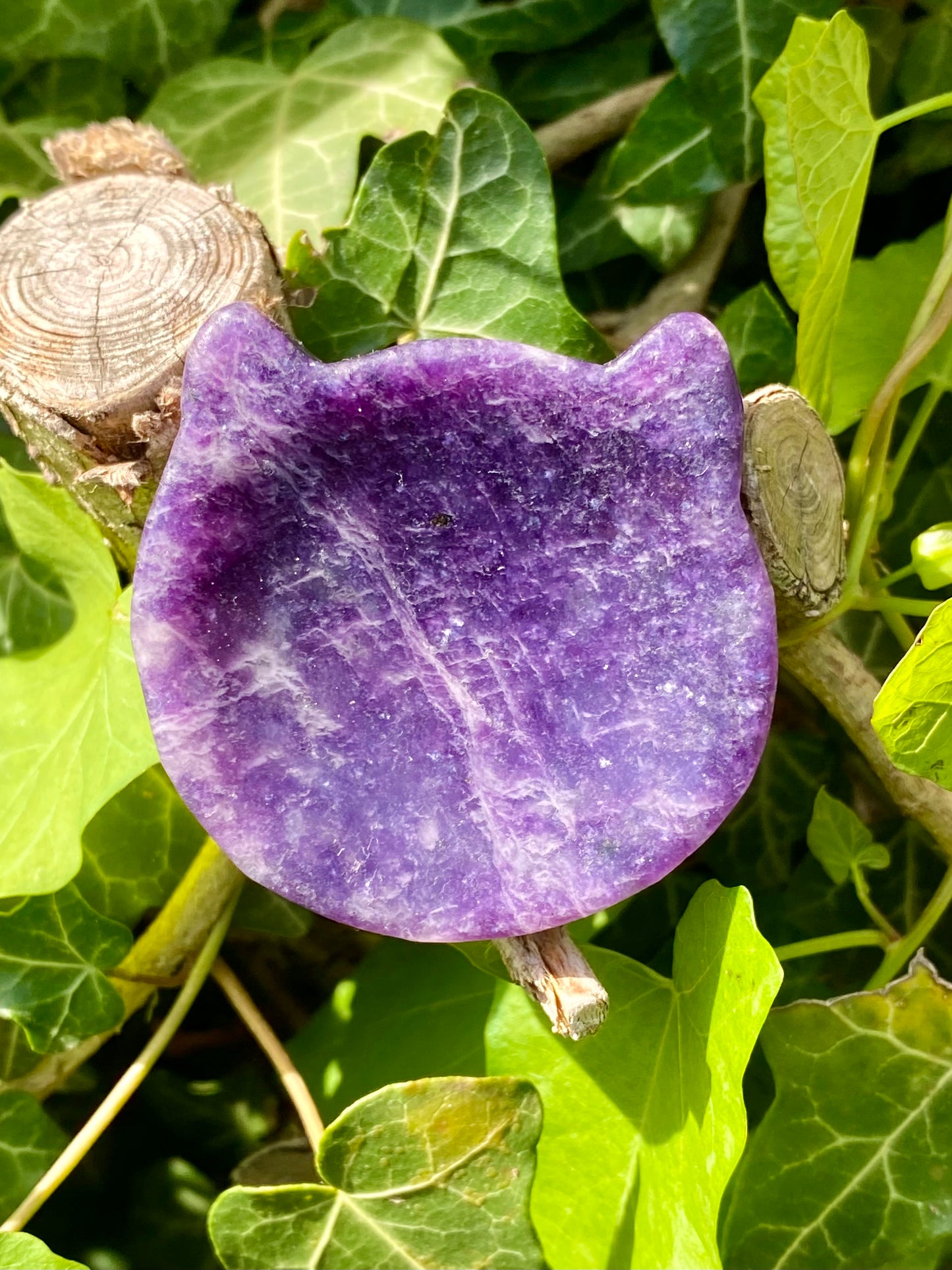 Chat 💜 lépidolite