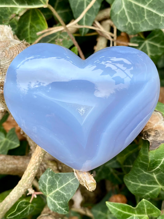 Coeur Agate Blue Lace 🩵