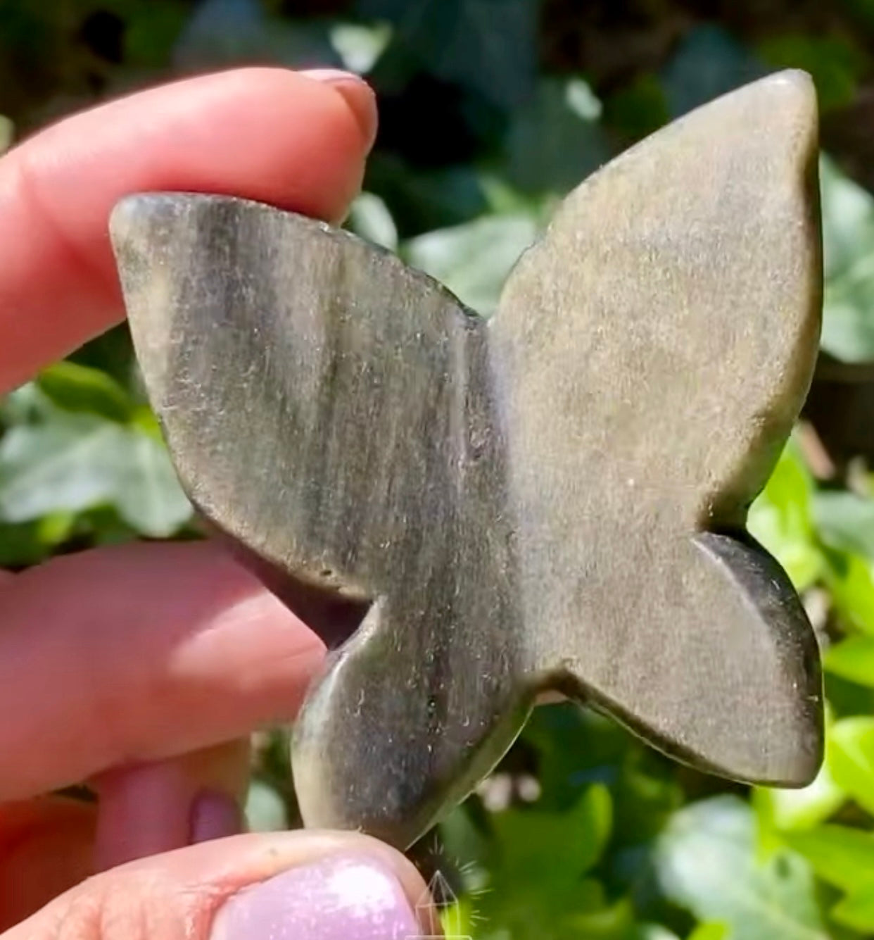Papillon 🦋 obsidienne dorée