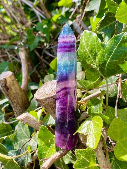 Pointe Fluorite 💜