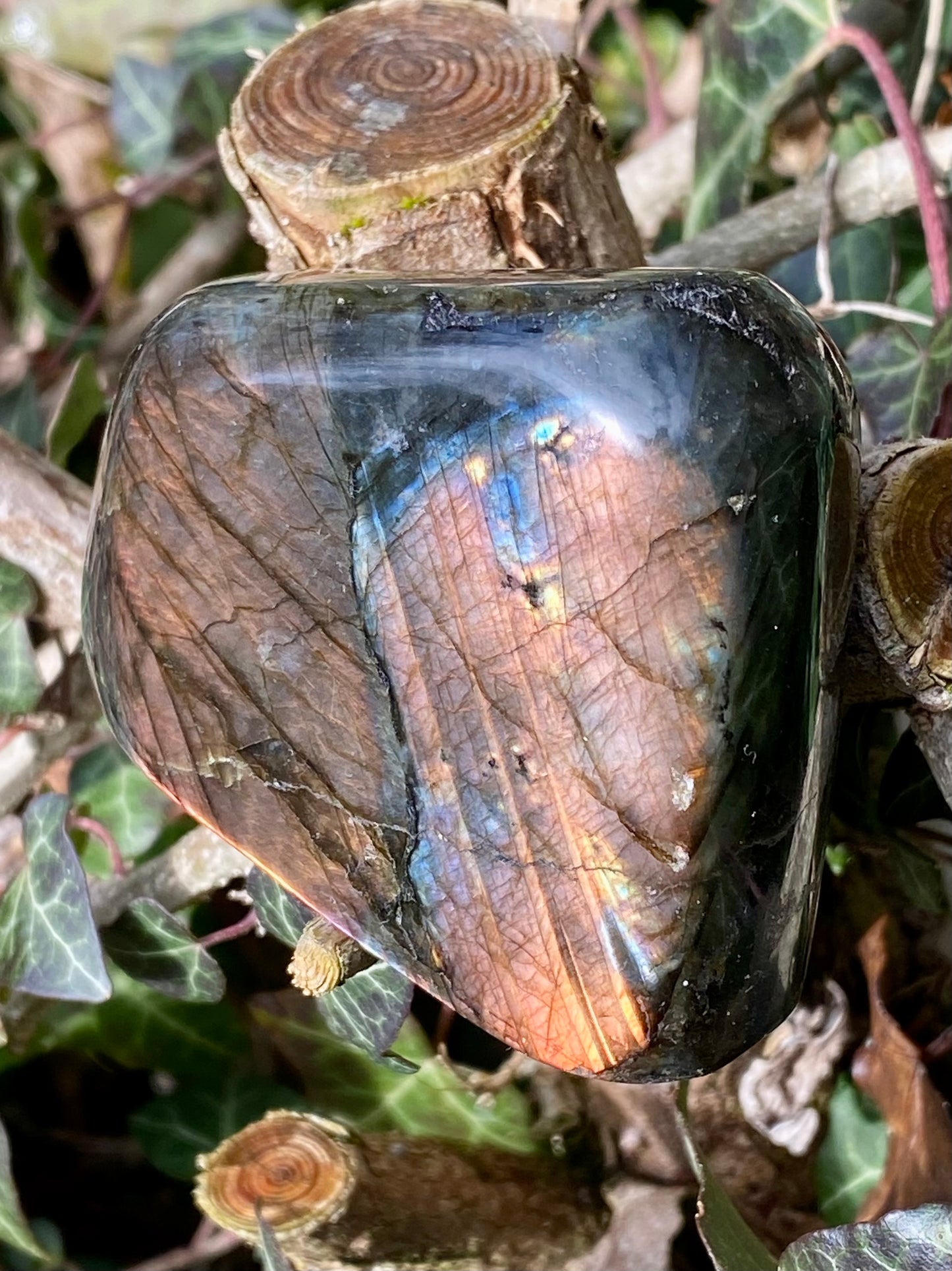 Forme libre Labradorite ❤️‍🔥