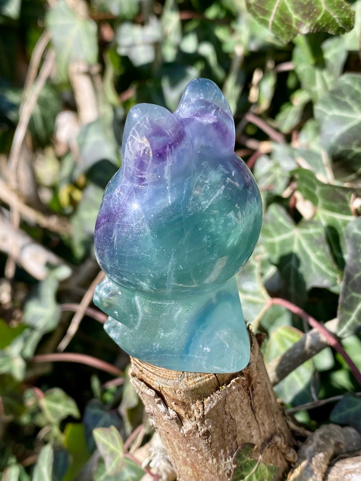 Labubu Fluorite ❄️