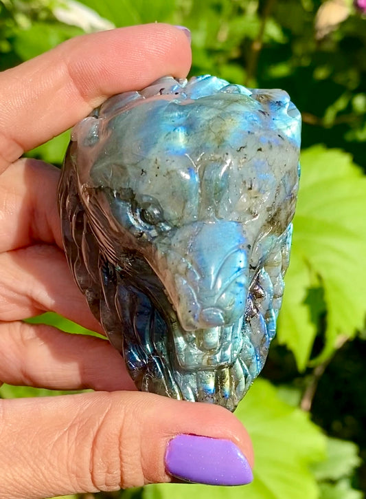 Tête d’ours 🐻 labradorite 💙