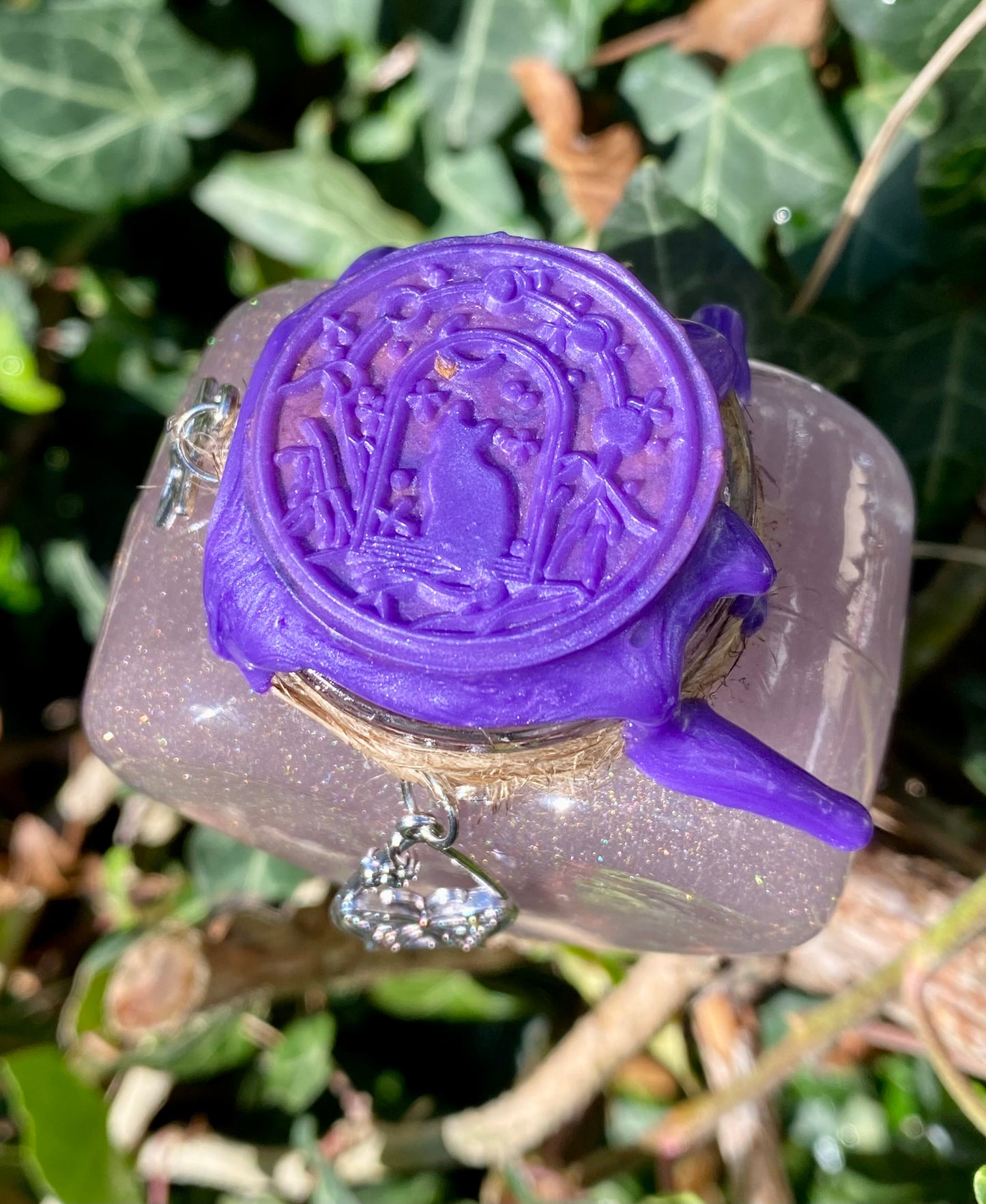 Potion 🦋 Papillon Lunaire 🌙