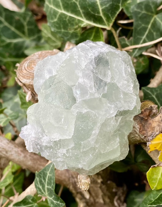 Fluorite Verte 💚 Sugar Brute ✨